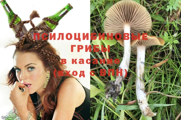 каннабис Аркадак