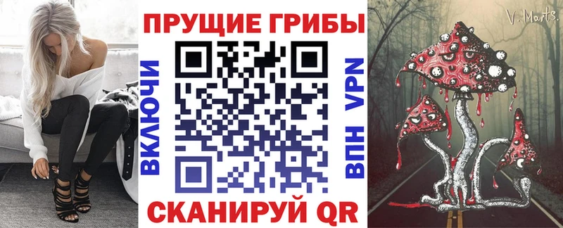 Галлюциногенные грибы прущие грибы  наркота  Калач 