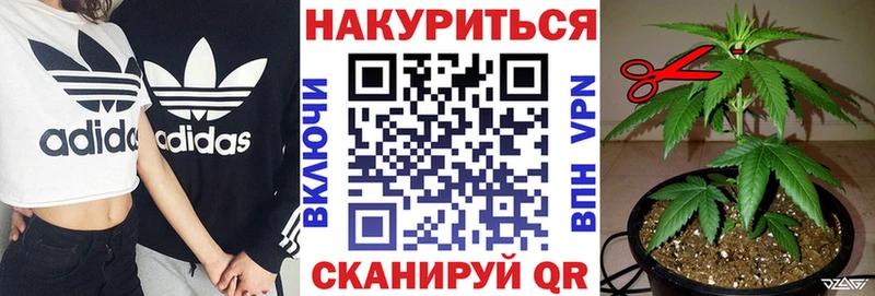 Шишки марихуана марихуана  Калач 